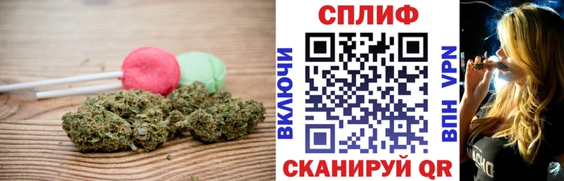 Купить где  Ярославль  Canna-Cookies марихуана 