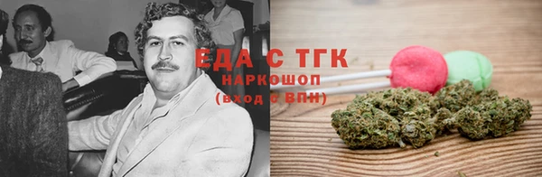 шишки Тында