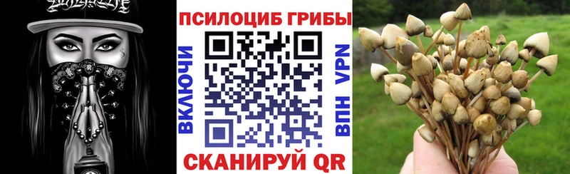 Галлюциногенные грибы Magic Shrooms  Купить  Ярославль 